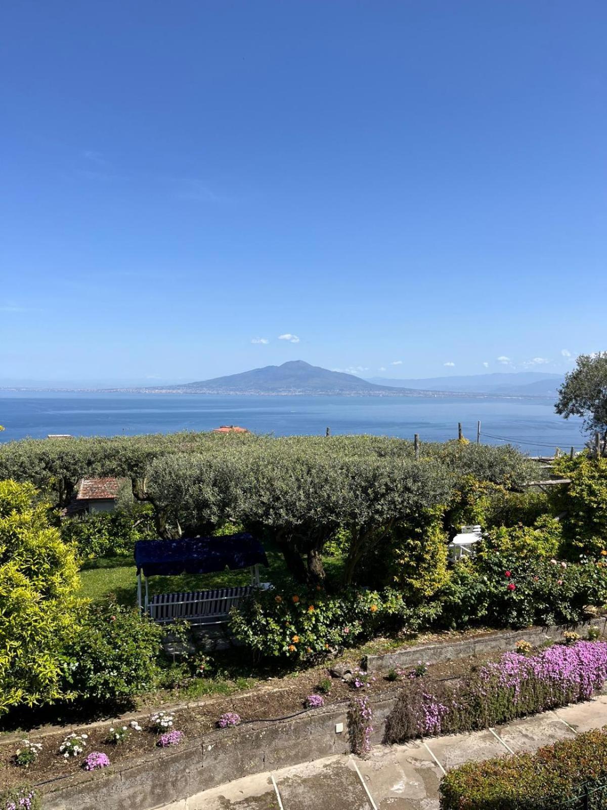 ホテル Sorrento Olive Tree Garden エクステリア 写真