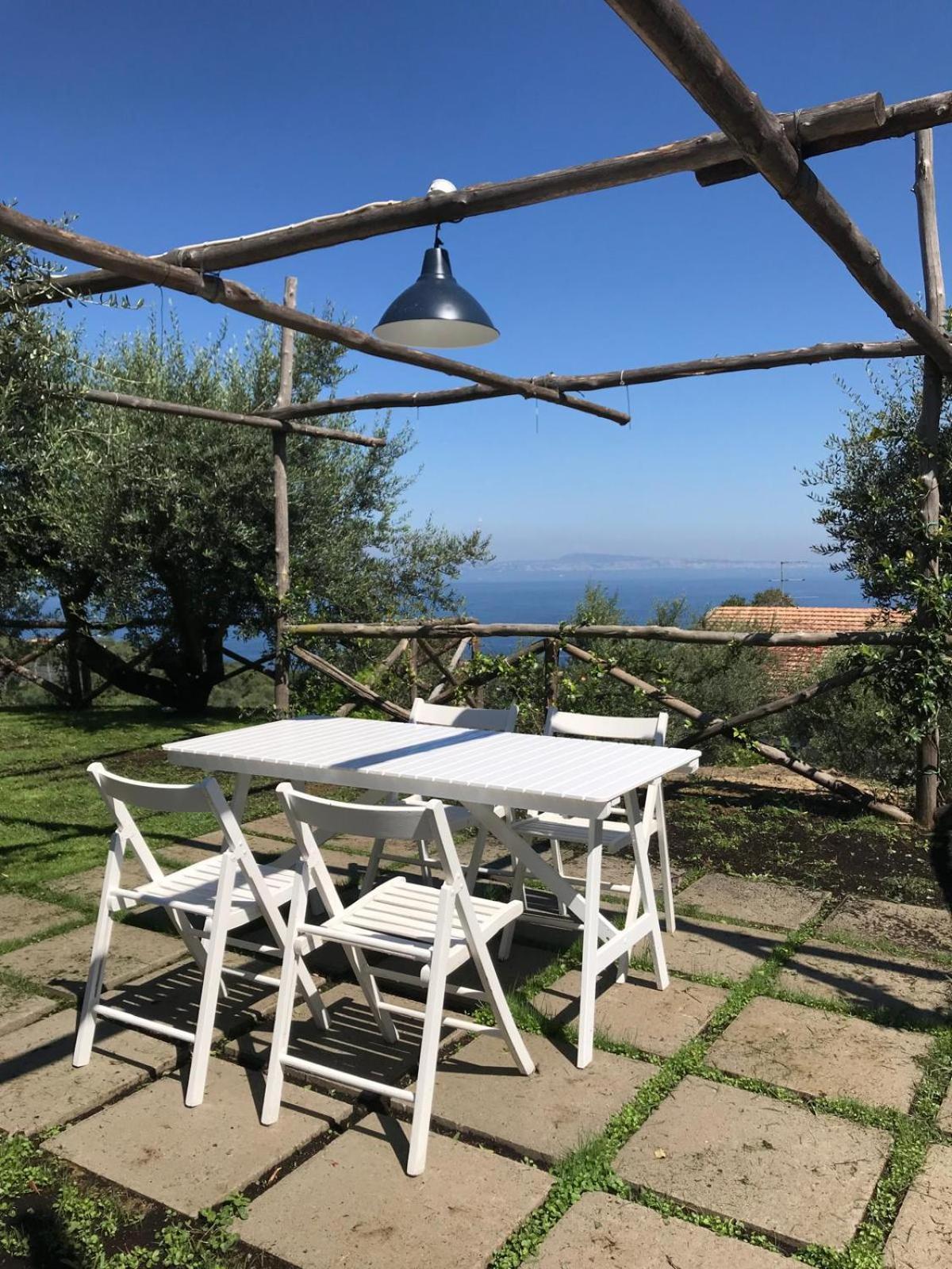 ホテル Sorrento Olive Tree Garden エクステリア 写真