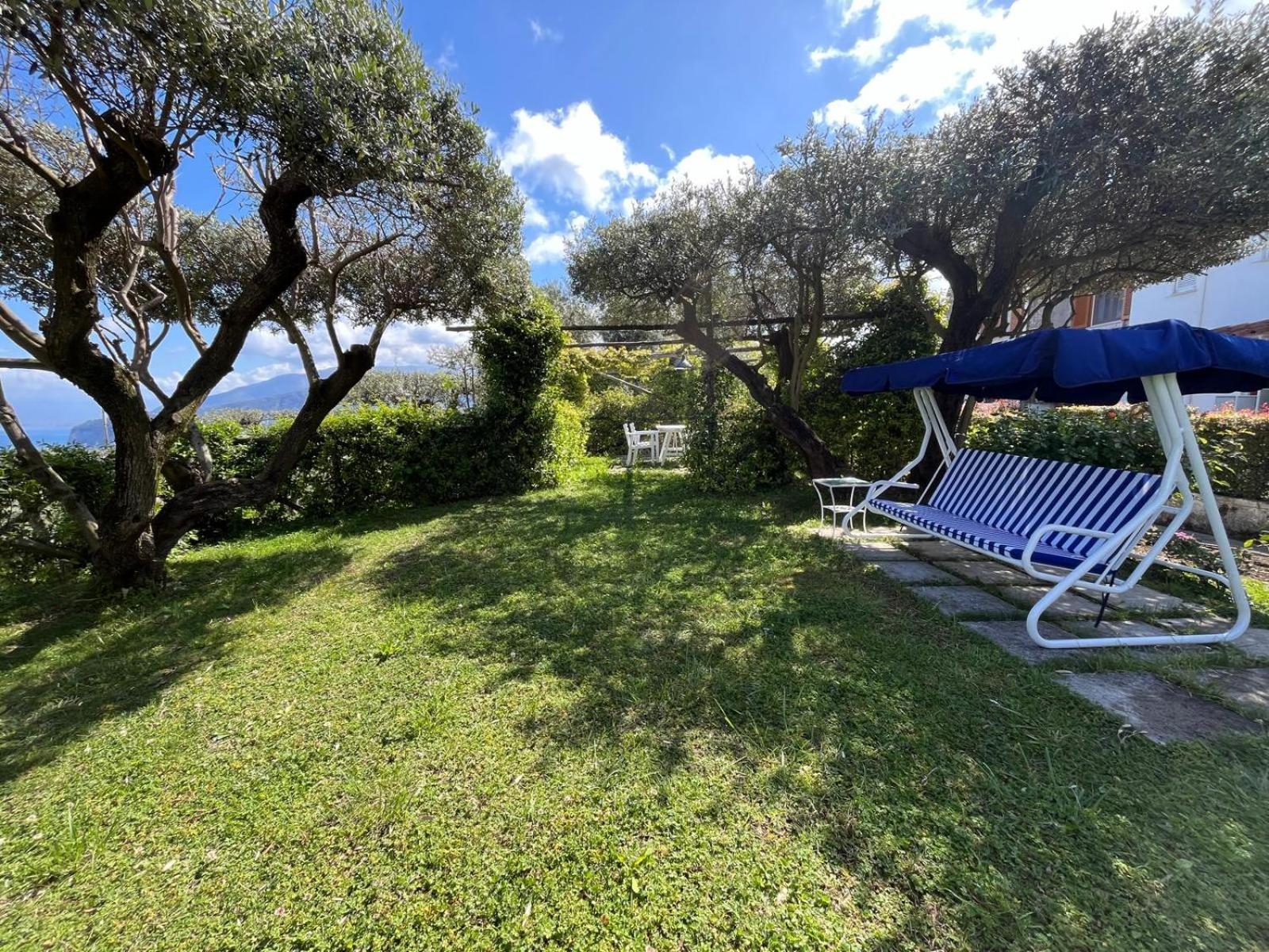 ホテル Sorrento Olive Tree Garden エクステリア 写真