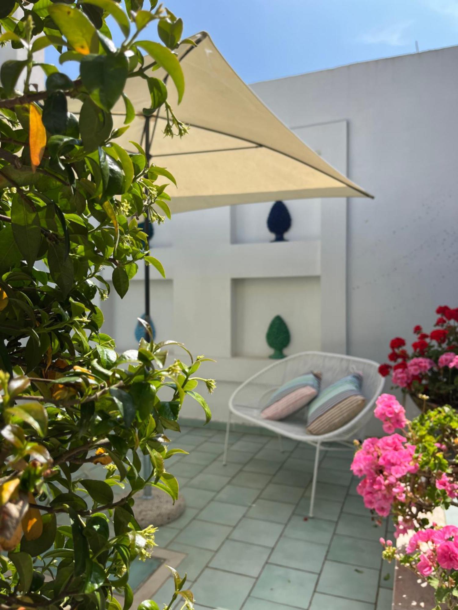 ホテル Sorrento Olive Tree Garden エクステリア 写真
