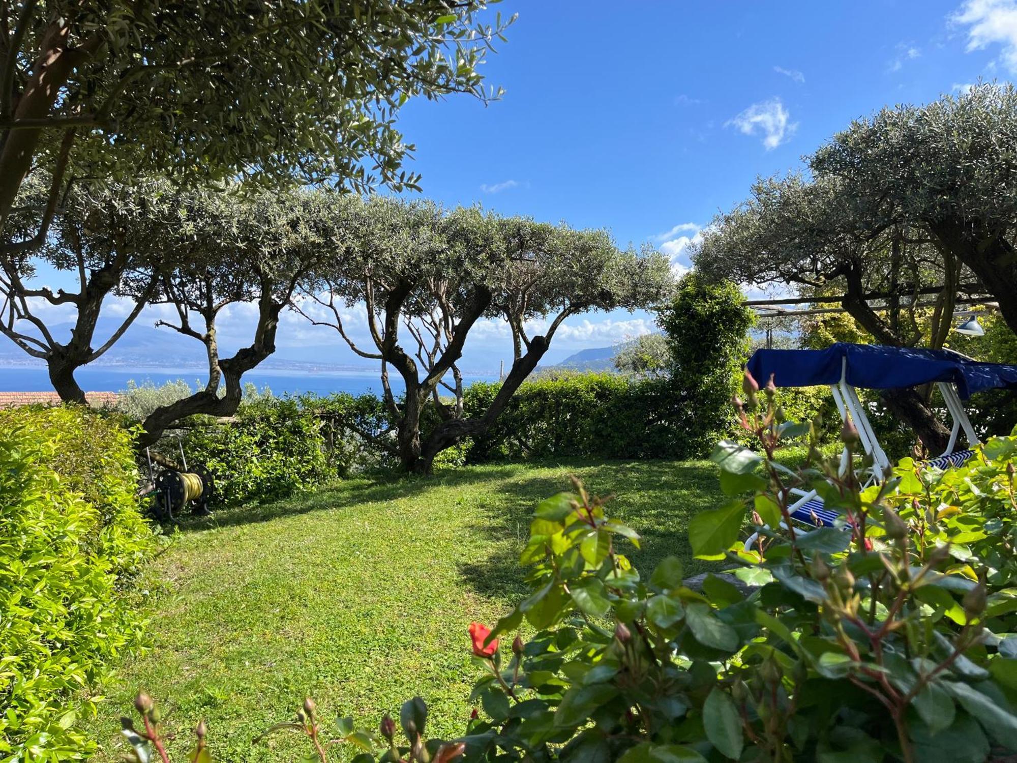 ホテル Sorrento Olive Tree Garden エクステリア 写真